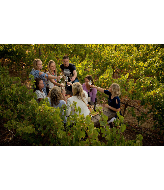 Klein Friesland  Winemakers Old Bush Vine Pinotage