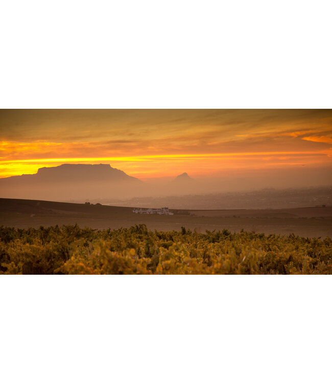 Klein Friesland  Winemakers Old Bush Vine Pinotage