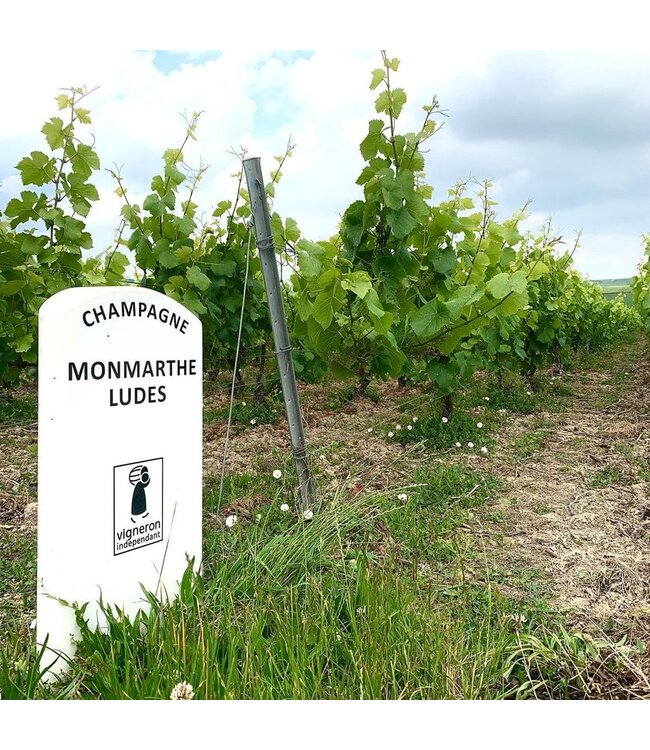 Champagne Monmarthe Premier Cru Douceur de Bulles demi-sec