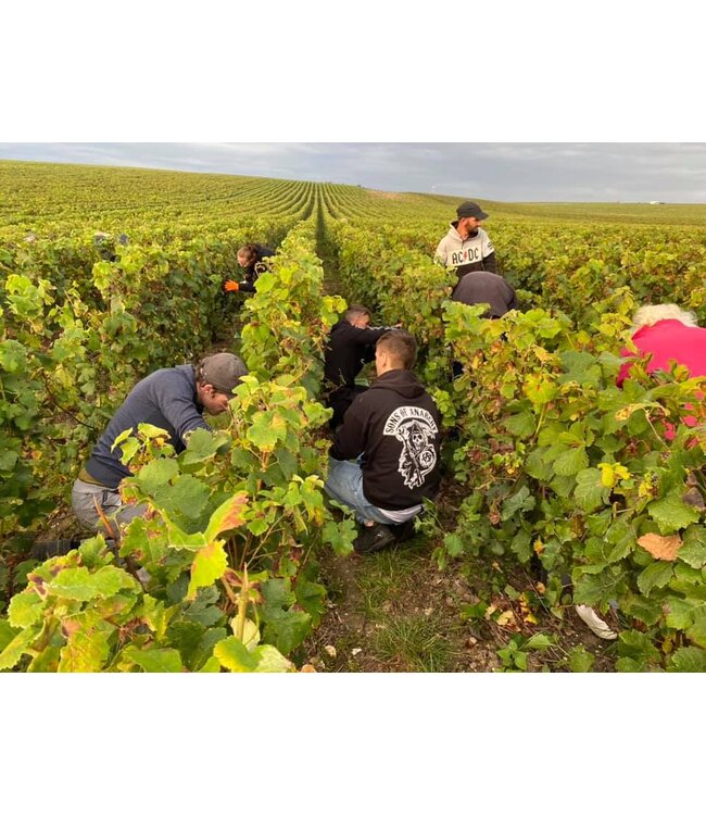 Champagne Monmarthe Premier Cru Douceur de Bulles demi-sec