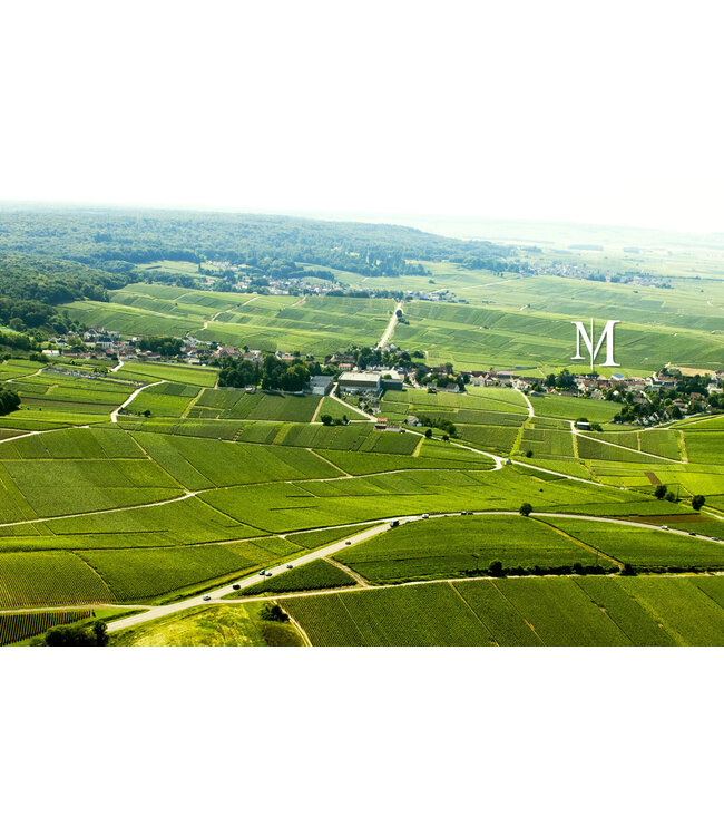 Champagne Monmarthe Premier Cru Le Nid d'Agace Extra-Brut