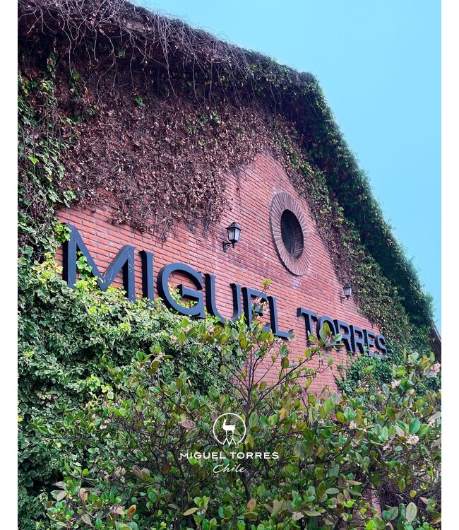 Las Mulas Torres Reserva Cabernet Sauvignon duuurzaam geteeld