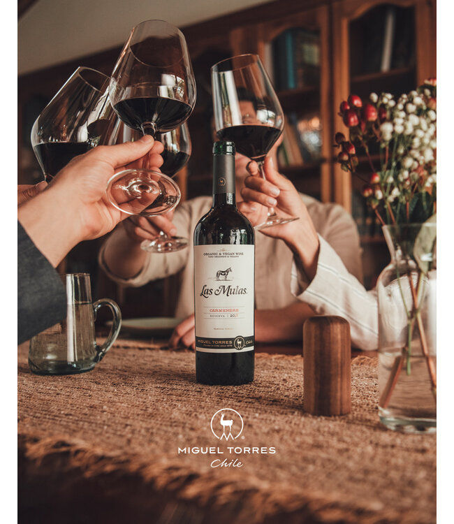 Las Mulas Torres Reserva Cabernet Sauvignon duuurzaam geteeld