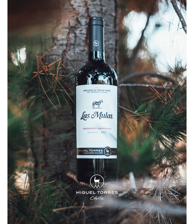 Las Mulas Torres Reserva Cabernet Sauvignon duuurzaam geteeld