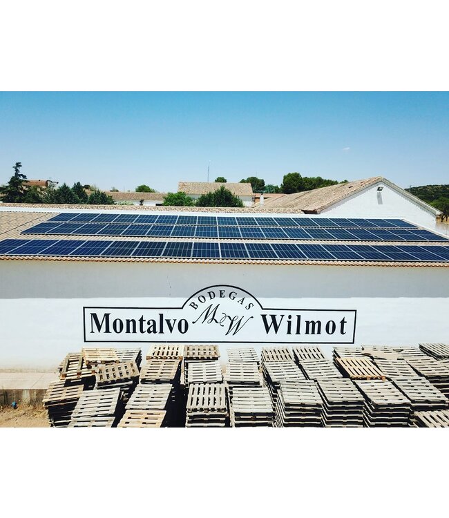 Montalvo Wilmot Verdejo duurzaam geteeld