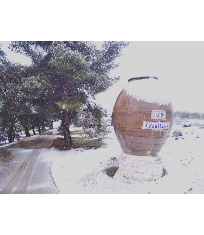 Montalvo Wilmot Pago DO Los Cerrillos Syrah