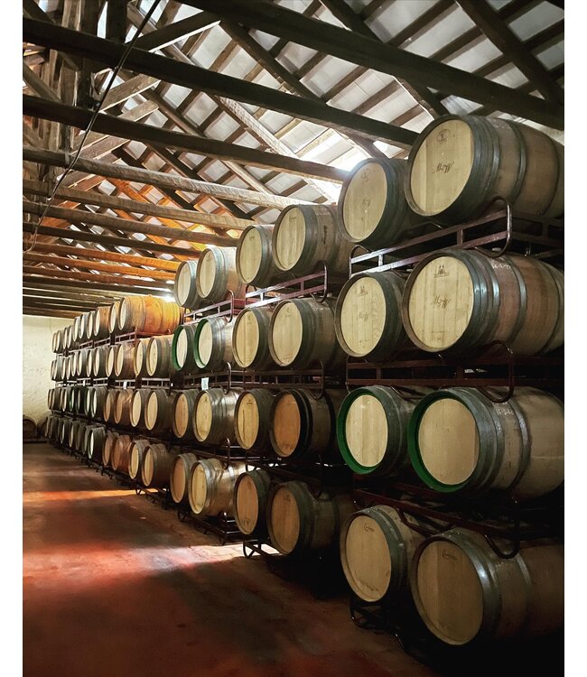 Montalvo Wilmot Pago DO Los Cerrillos Syrah