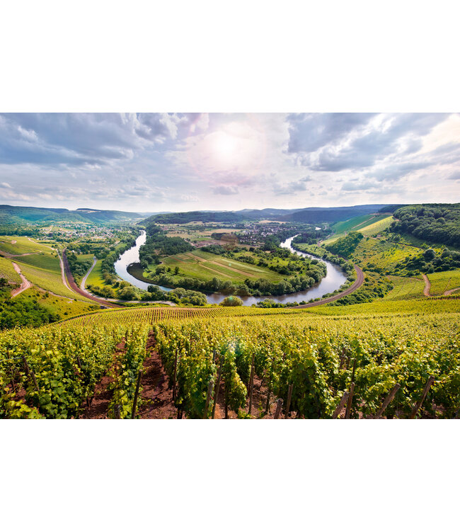 Wijnpakket Van Volxem Parel aan de Saar