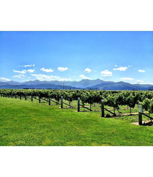 Mount Riley 17 Valley Sauvignon Blanc Marlborough