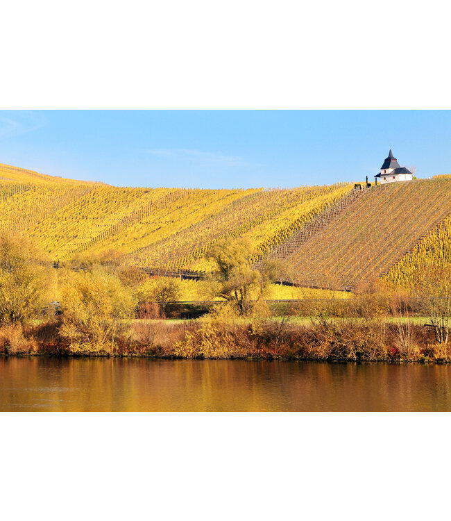 Steffen Weissburgunder Cuvee 23