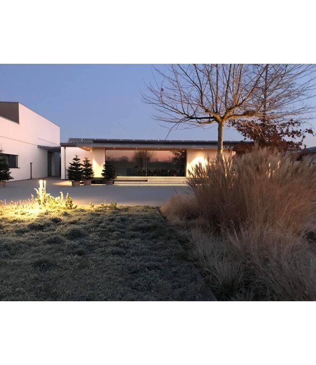 Hensel Grauer Burgunder Pfalz