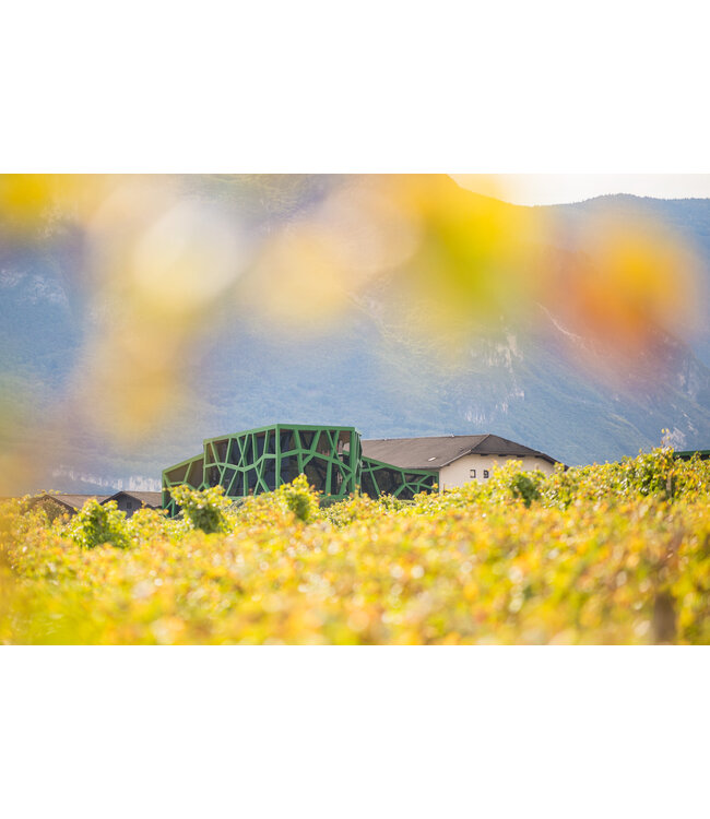 Cantine Tramin  Weissburgunder-Pinot Bianco Alto Adige