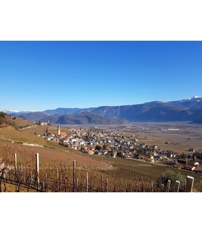 Cantine Tramin  Weissburgunder-Pinot Bianco Alto Adige