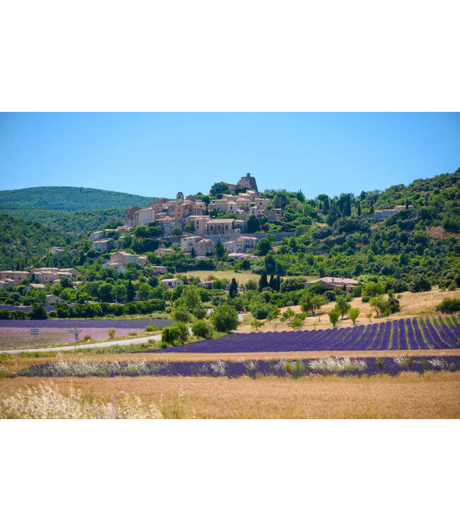 Villa AIX Rosé Coteaux Aix en Provence (12 halen, 10 betalen)