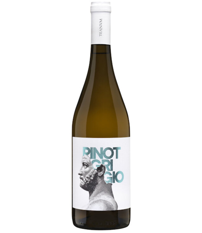 Teanum Favugne Pinot Grigio
