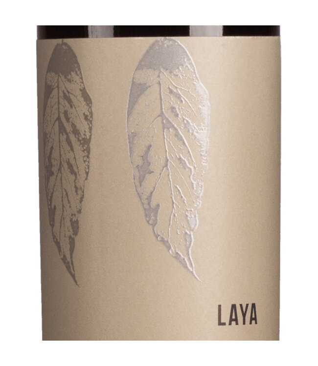 Juan Gil Almansa Laya