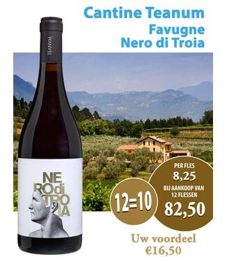 Cantine Teanum - Puglia Italie Teanum Favugne Nero di Troia (12 halen, 10 betalen)