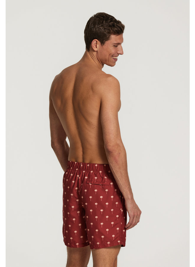 Shiwi zwemshort heren Palm print rood