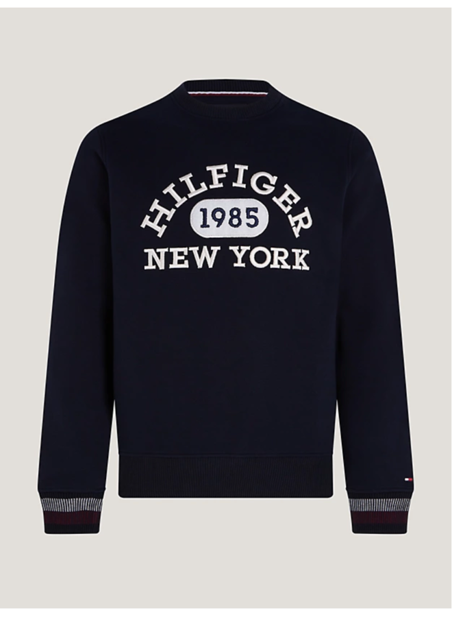 Tommy Hilfiger sweater college logo navy