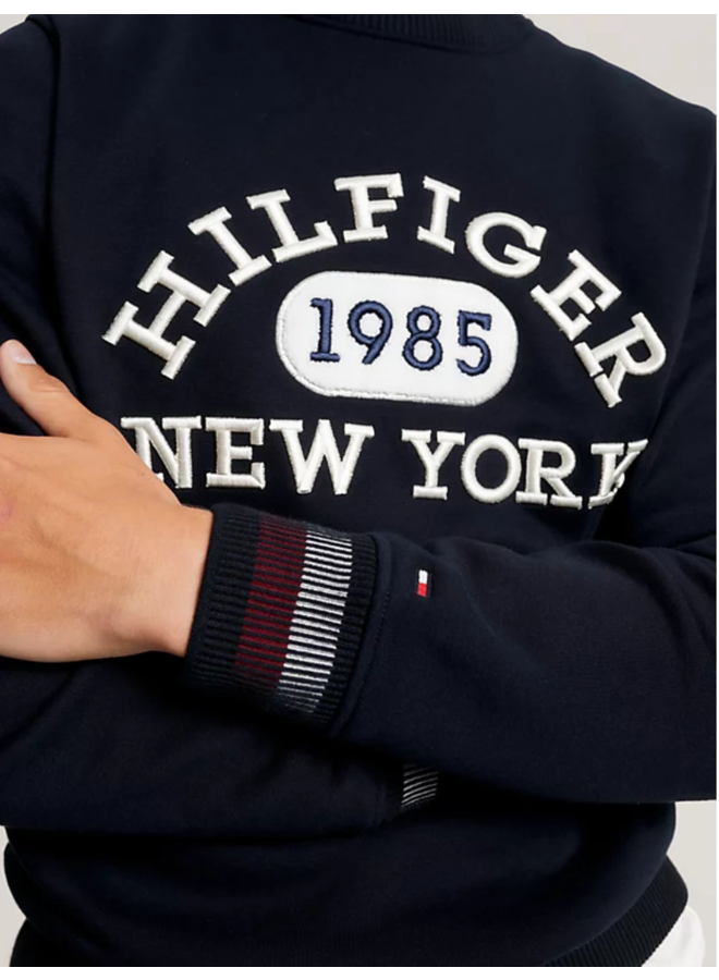 Tommy Hilfiger sweater college logo navy