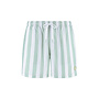 Shiwi zwemshort Mike lichtgroene streep