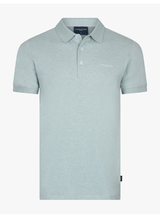 Cavallaro Bavone polo mint green melange