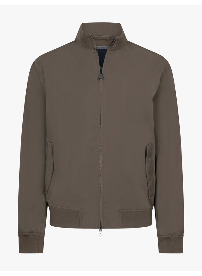 Cavallaro zomerjas Pillagio dark taupe