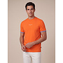 Cavallaro Napoli WK26 RWB tee oranje