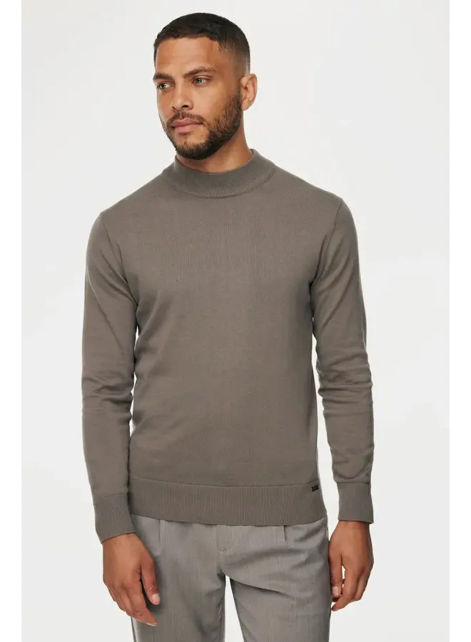Pullover met turtle neck taupe