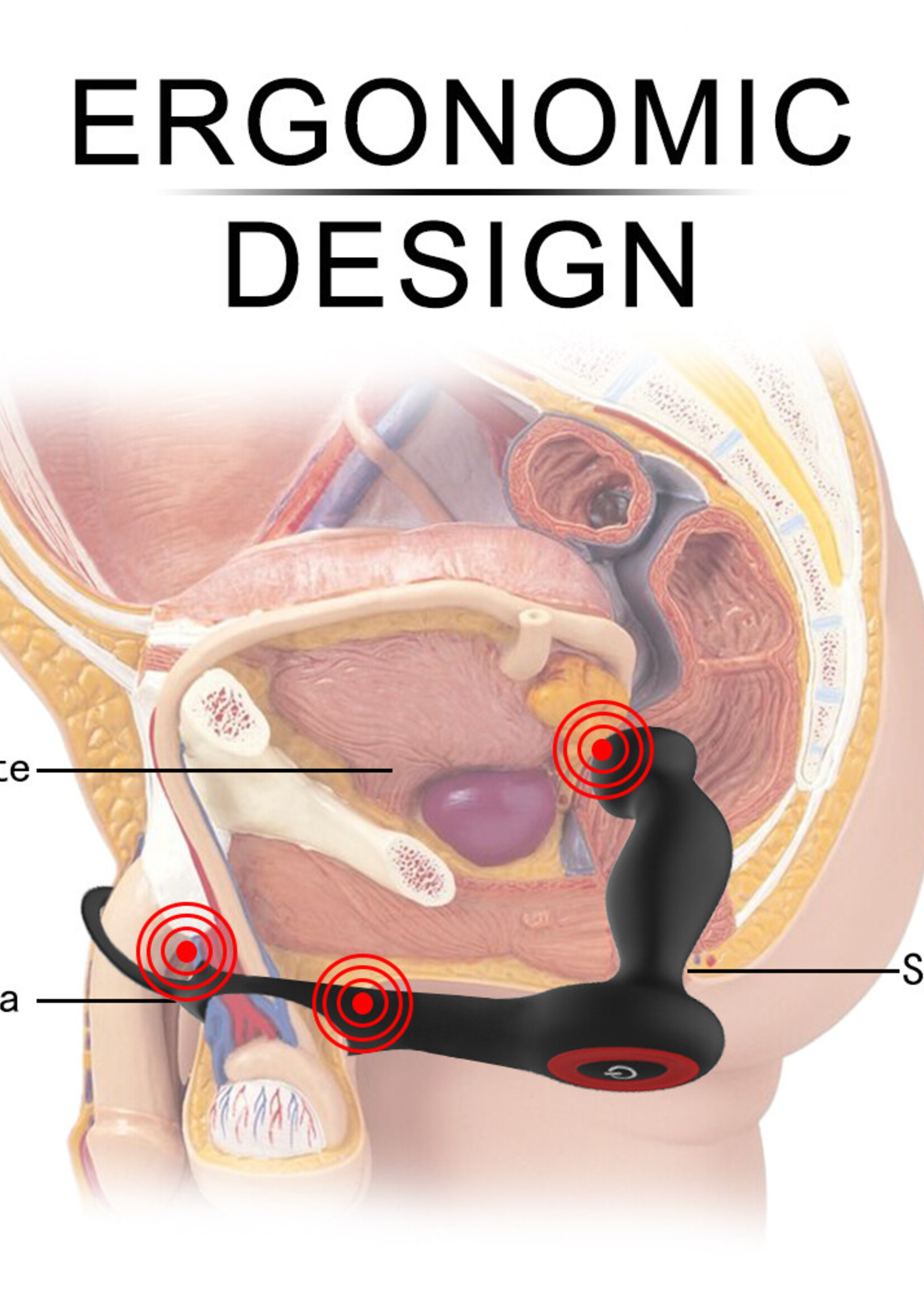 Dolls - Exclusive - Line Dolls Exclusive Line - Prostate Massager