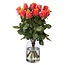 Sister Sophy 10 Orange Rosen Premium