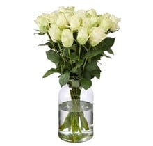20 Weiße Rosen (50 cm)