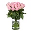 Sister Sophy 20 Rosa Rosen (50 cm)