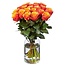 Sister Sophy 20 Orange Rosen (50 cm)