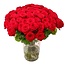 Sister Sophy 100 Rote Rosen - Premium Red Naomi