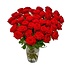 Sister Sophy 40 Rote Rosen - Premium Red Naomi