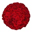 Sister Sophy 60 Rote Rosen - Premium Red Naomi
