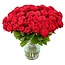 Sister Sophy 70 Rote Rosen - Premium Red Naomi