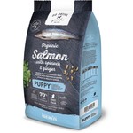 Go Native Go Native Puppy Salmon with Spinach and Ginger