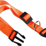 Ferplast CLUB C Nylon hondenband Oranje C25/70