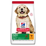 Hill's Puppy Large Breed Chicken 12kg