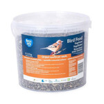 CJ Wildlife Emmer gestreepte zonnepitten 2,25kg