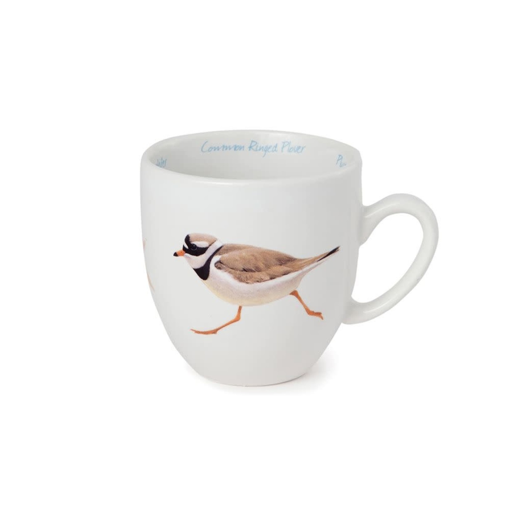 CJ Wildlife Mok Wadvogels - Bontbekplevier