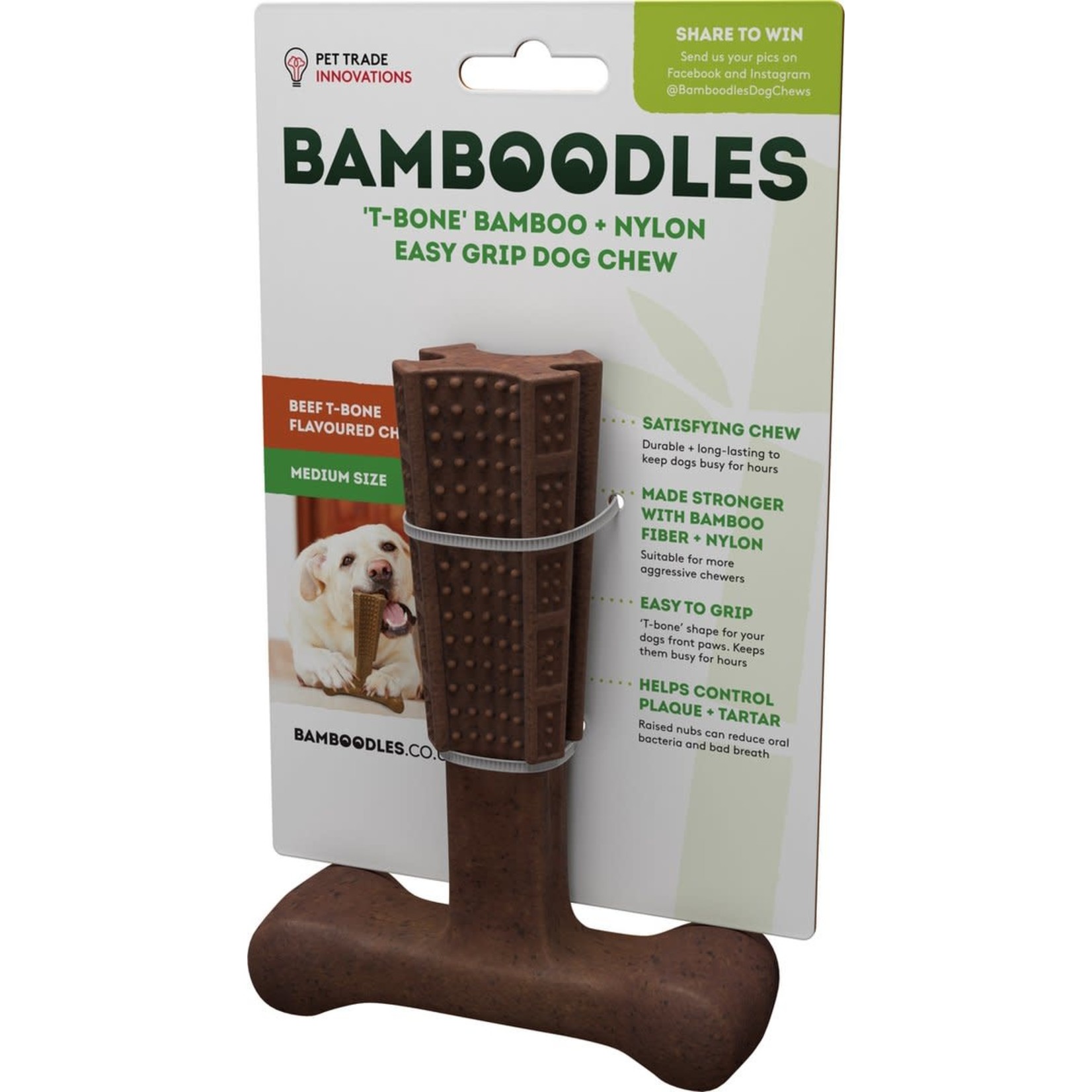 Dog & Cat Supply T-Bone Chew Small Beef 4"