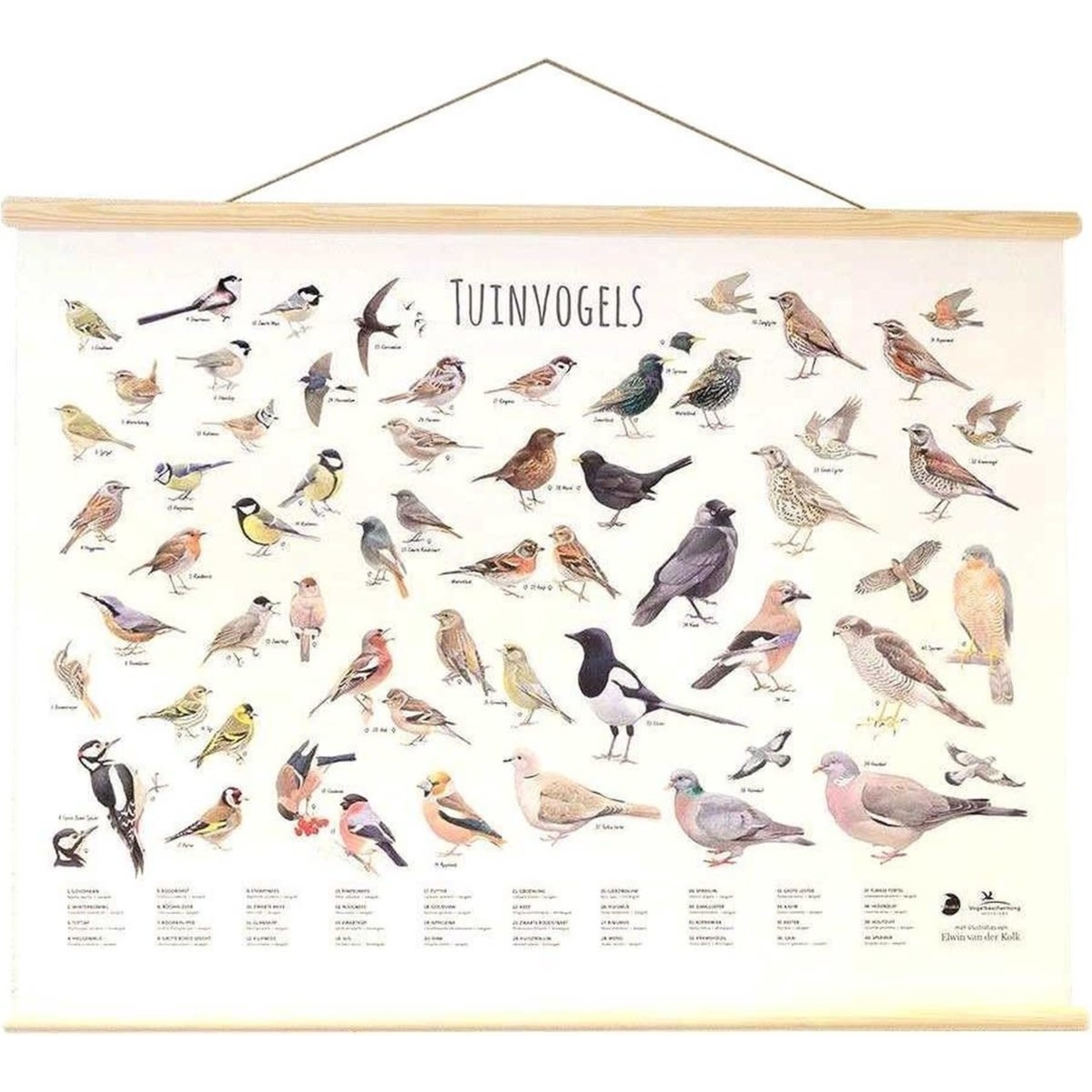 CJ Wildlife VBN Vogelposter