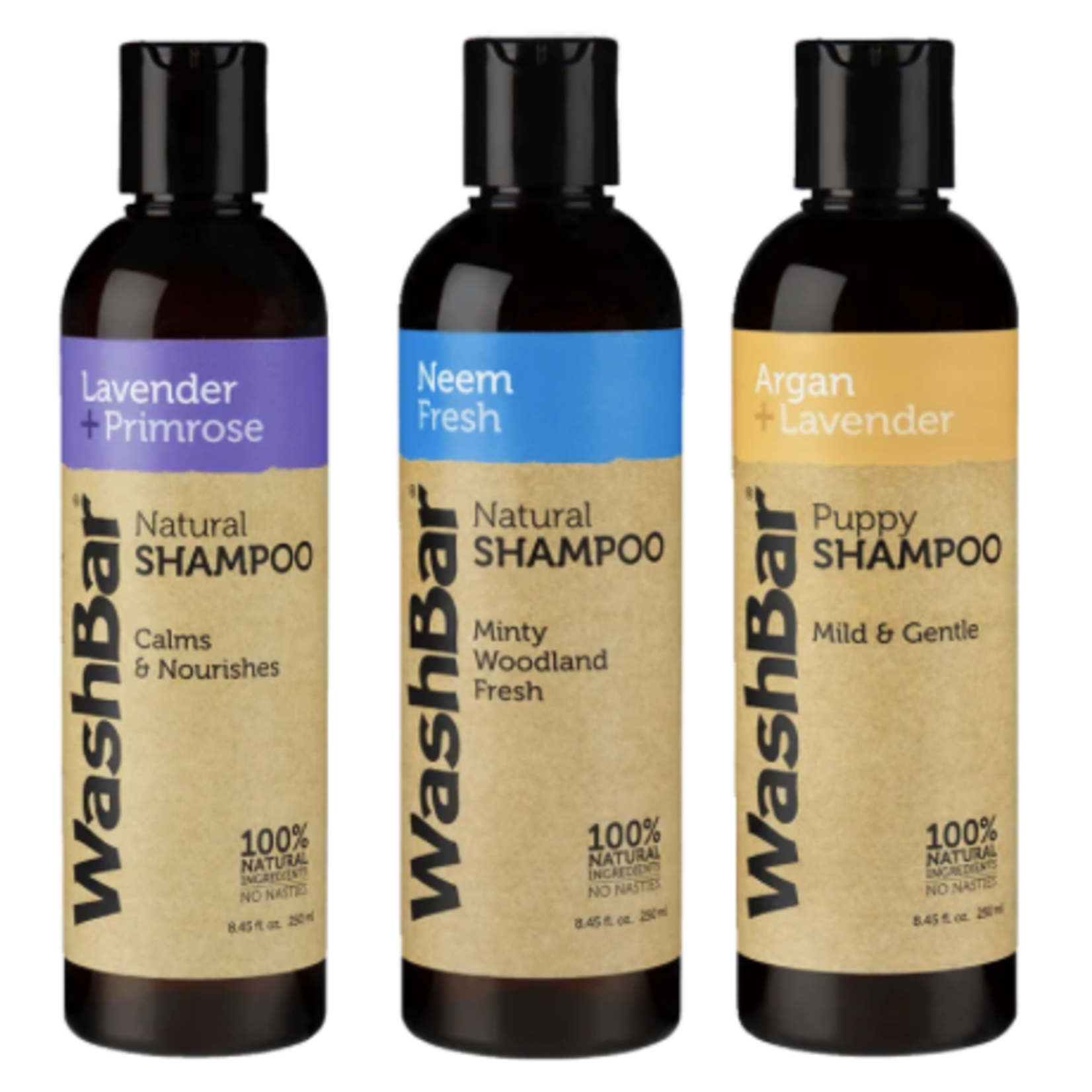WashBar WashBar shampoo Lavender