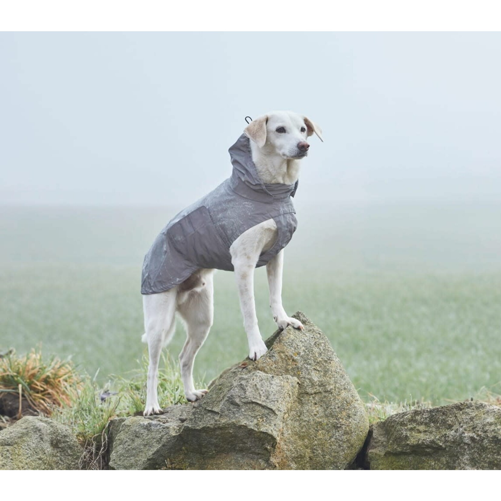 Cloud7 Dog Raincoat Berlin Reflective with Capuchon (8)