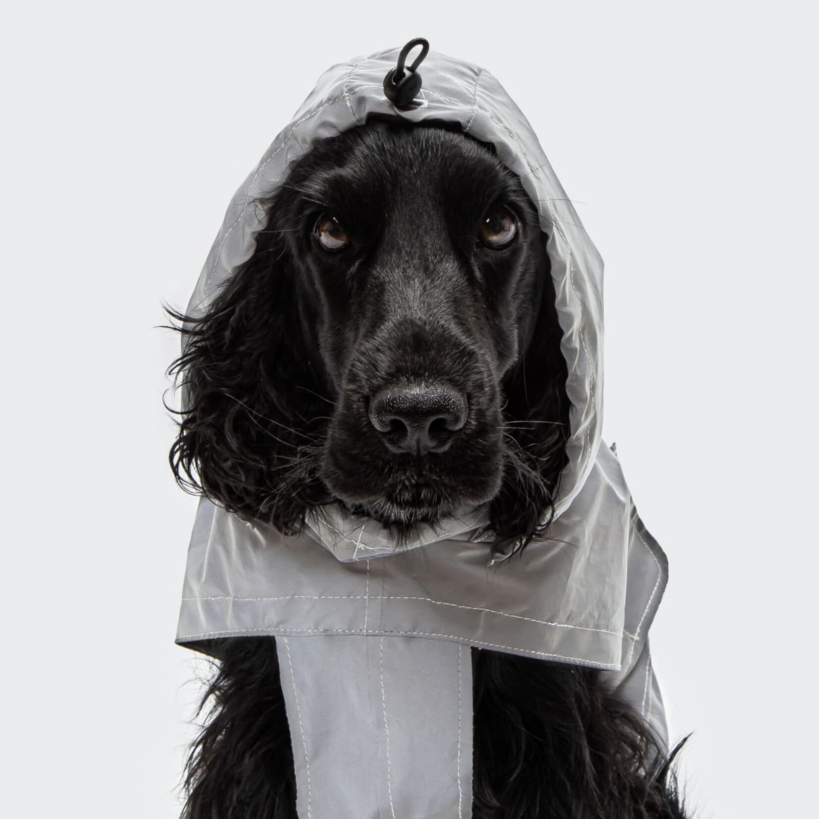Cloud7 Dog Raincoat Berlin Reflective with Capuchon (3)