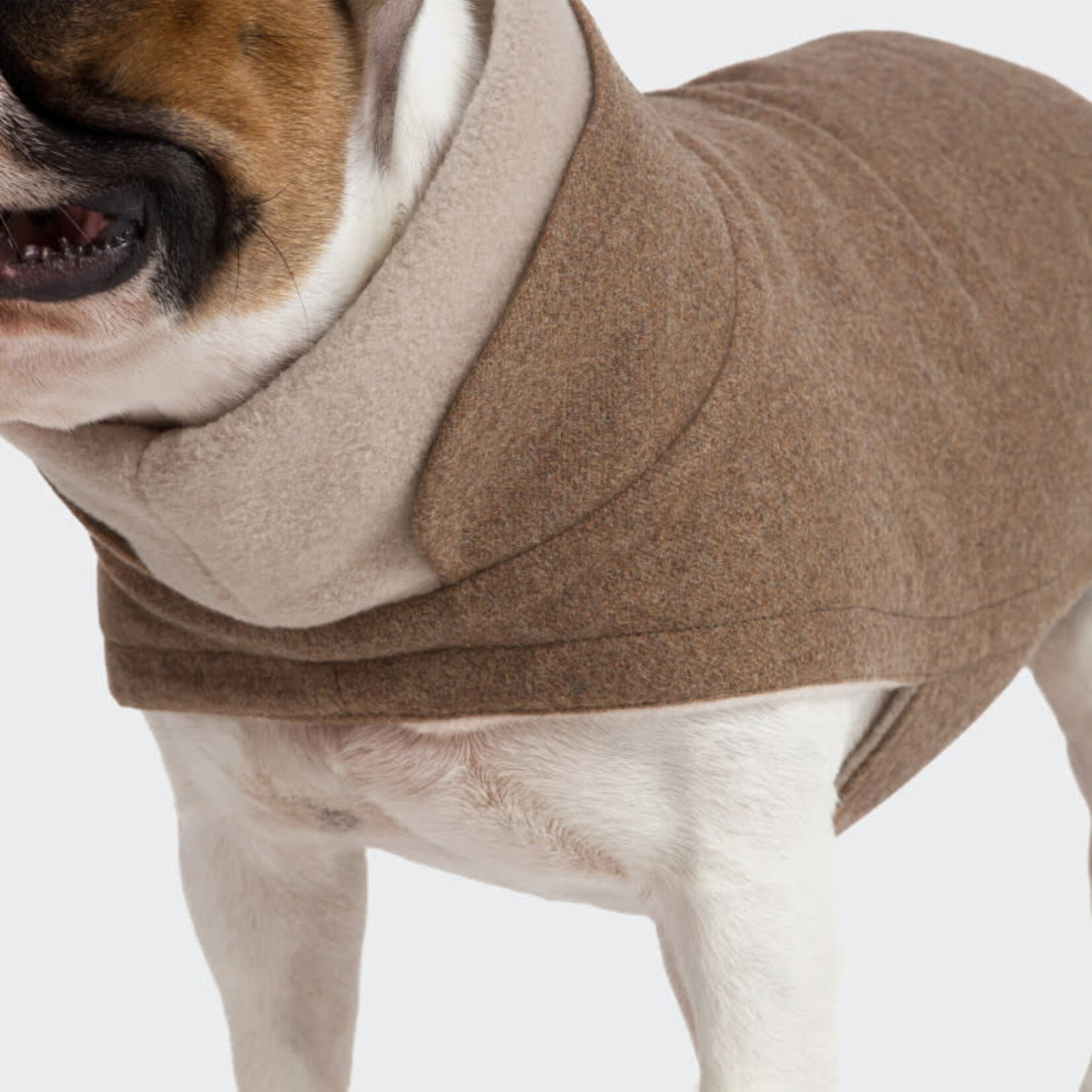 Cloud7 Dog Coat Dachshund Flannel Hazel  Size 4