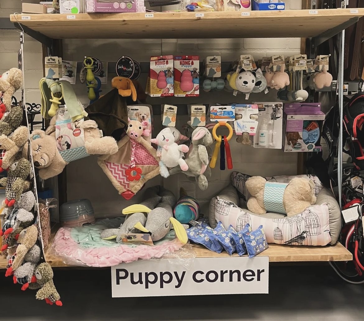 Puppy corner